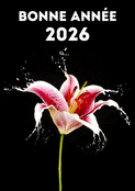 Fleurie et p&eacute;tillante pour accueillir 2026